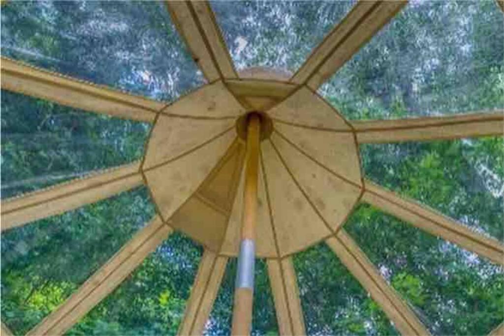 The Pisces-A Stargazing, Luxury Glamping Tent Rogersville Экстерьер фото